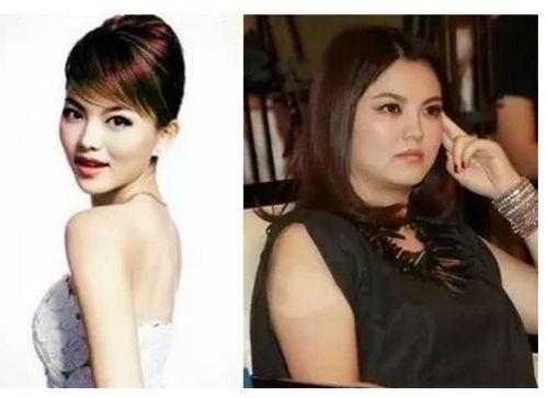 160斤的明星,揭秘体重背后的璀璨人生